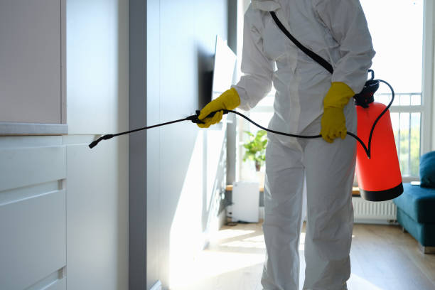 Best Health and Safety Mold Remediation in Charlotte Park, FL