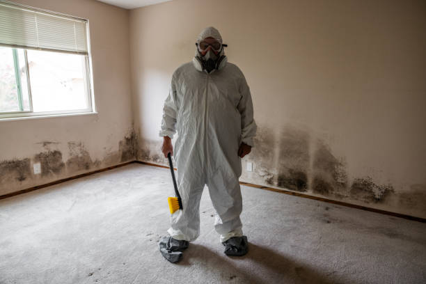 Best Mold Testing and Inspection Services in Charlotte Park, FL